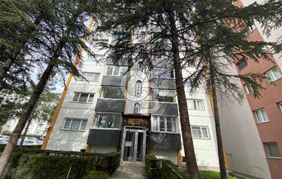 ERYAMAN OPTİMUM AVM KARŞISI AGE BLK. ARA KAT 3+1 KİRALIK DAİRE