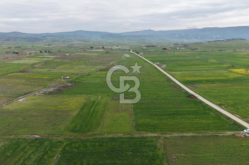 CB KİNG'DEN KOCAAVŞAR MAHALLESİ'NDE 2023 m² SATILIK TARLA