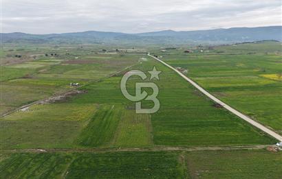 CB KİNG'DEN KOCAAVŞAR MAHALLESİ'NDE 2023 m² SATILIK TARLA