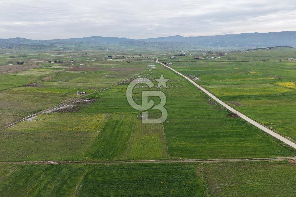 CB KİNG'DEN KOCAAVŞAR MAHALLESİ'NDE 2023 m² SATILIK TARLA