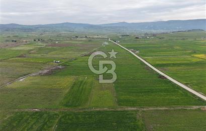 CB KİNG'DEN KOCAAVŞAR MAHALLESİ'NDE 2023 m² SATILIK TARLA