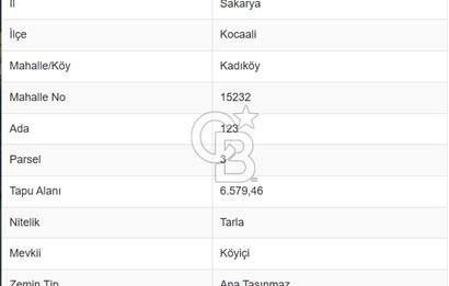 CB ODAK'TAN SAKARYA KOCAALİ'DE DENİZE/PLAJA SIFIR 19 DÖNÜM BAHÇE