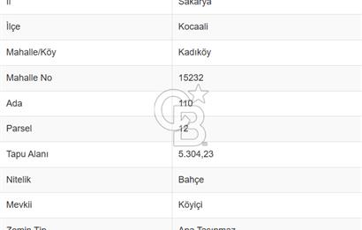 CB ODAK'TAN SAKARYA KOCAALİ'DE DENİZE/PLAJA SIFIR 19 DÖNÜM BAHÇE