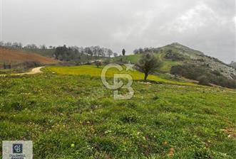 CB CLASS YENİŞEHİR BEYPINAR'DA 250 M2 SATILIK TARLA - 11 - 343358