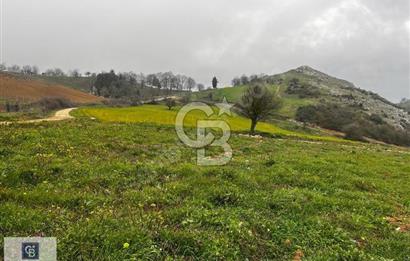 CB CLASS YENİŞEHİR BEYPINAR'DA 250 M2 SATILIK TARLA