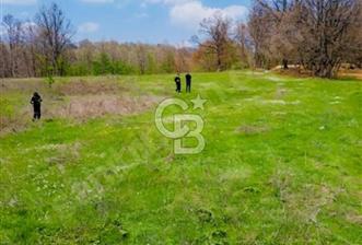 CB CLASS ACİL SATILIK! İNEGÖL GÜZELYURT'TA 7.689 M2 FIRSAT ARAZİ - 1 - 343365