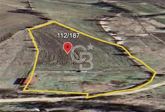 Safranın Toprağında Bir Parça Gelecek, Kırıklarda Satılık Tarla - 12 - 343452