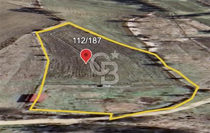 Safranın Toprağında Bir Parça Gelecek, Kırıklarda Satılık Tarla