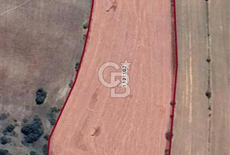 Safranın Toprağında Safranbolu Kırıklarda Satılık Tarla - 8 - 343456