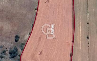 Safranın Toprağında Safranbolu Kırıklarda Satılık Tarla