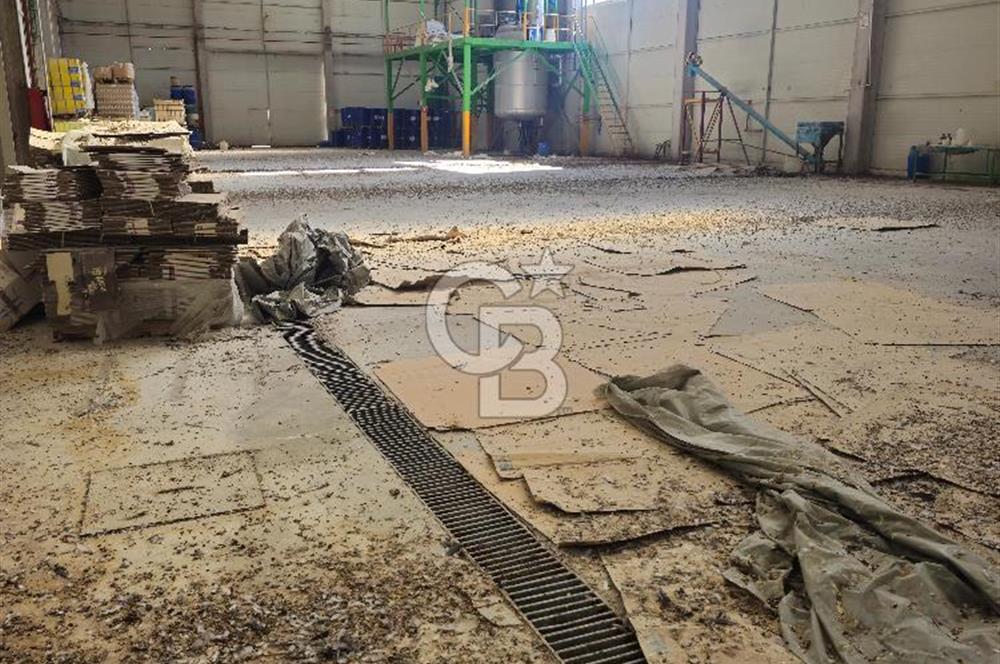 BANKADAN SATILIK ANKARA POLATLI OSB’DE 22.192 m² ARSA ÜZERİNDE İSKANLI, HAZIR FABRİKA VE İDARİ BİNA