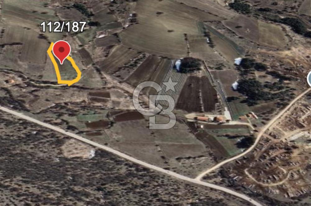 Safranın Toprağında Bir Parça Gelecek, Kırıklarda Satılık Tarla