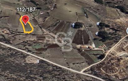 Safranın Toprağında Bir Parça Gelecek, Kırıklarda Satılık Tarla