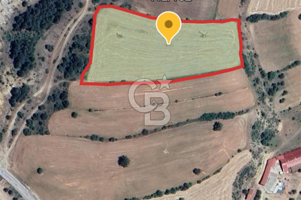 Safranın Toprağında Safranbolu Kırıklarda Satılık Tarla