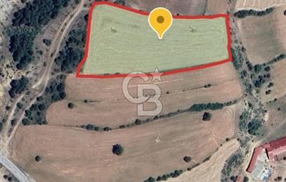 Safranın Toprağında Safranbolu Kırıklarda Satılık Tarla