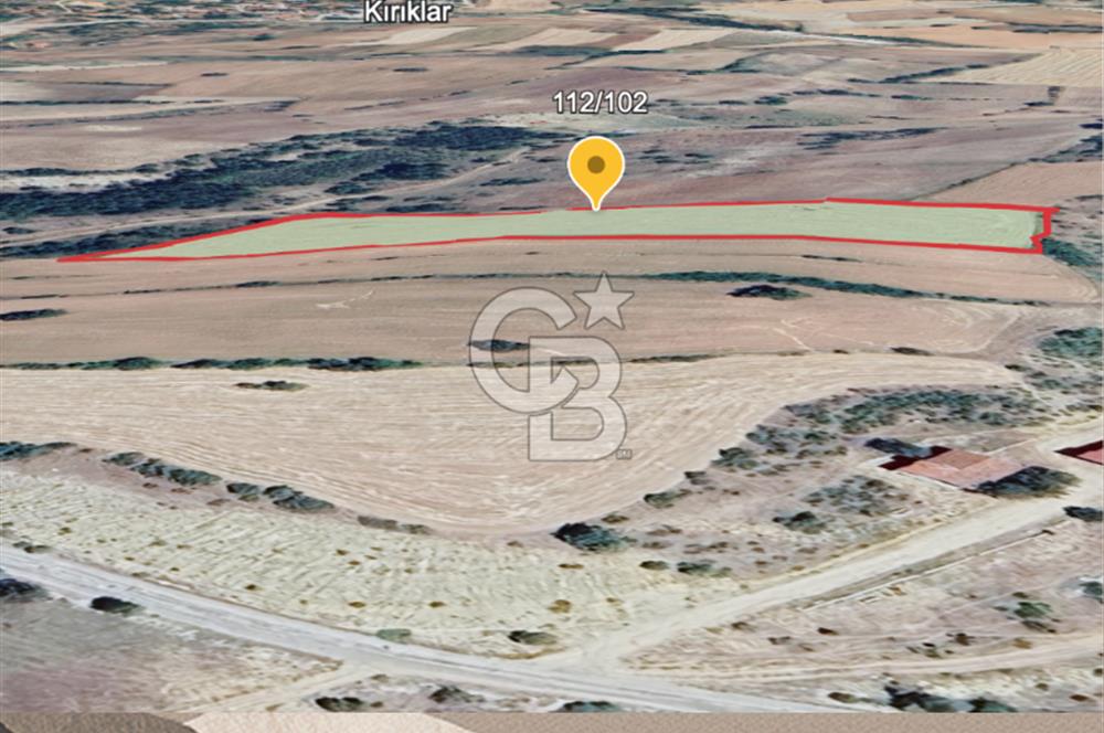 Safranın Toprağında Safranbolu Kırıklarda Satılık Tarla