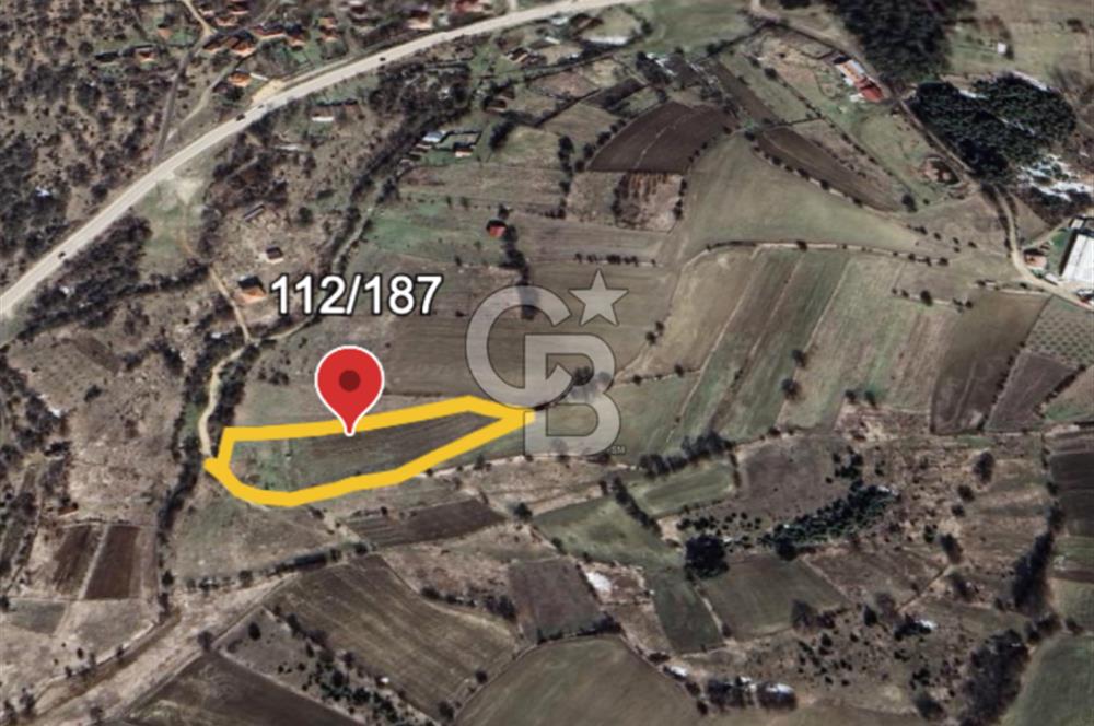 Safranın Toprağında Bir Parça Gelecek, Kırıklarda Satılık Tarla