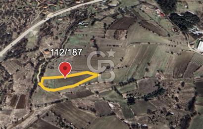 Safranın Toprağında Bir Parça Gelecek, Kırıklarda Satılık Tarla