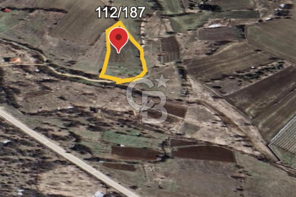 Safranın Toprağında Bir Parça Gelecek, Kırıklarda Satılık Tarla