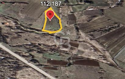 Safranın Toprağında Bir Parça Gelecek, Kırıklarda Satılık Tarla