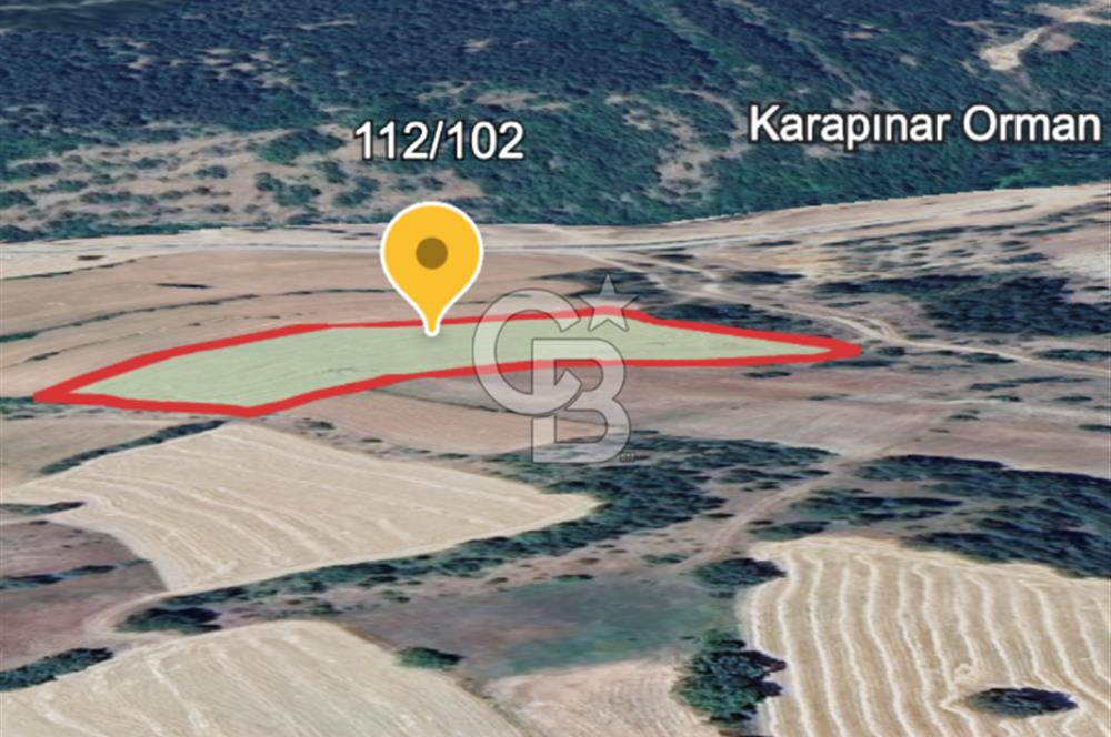 Safranın Toprağında Safranbolu Kırıklarda Satılık Tarla