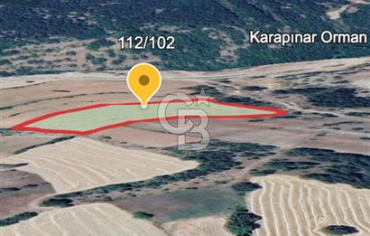 Safranın Toprağında Safranbolu Kırıklarda Satılık Tarla