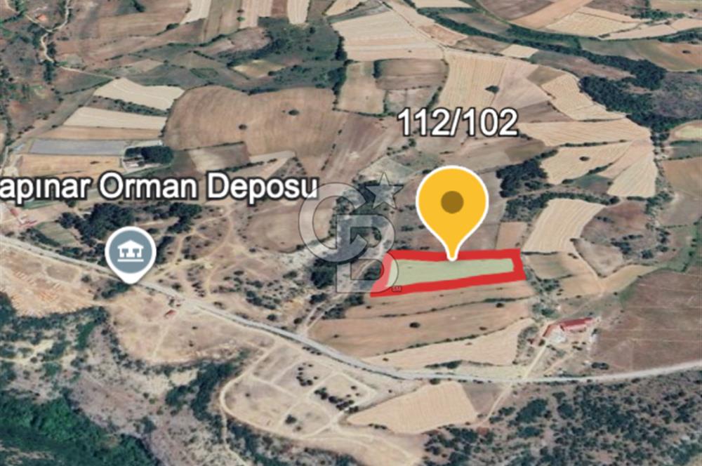 Safranın Toprağında Safranbolu Kırıklarda Satılık Tarla