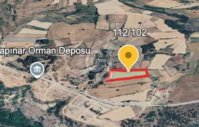 Safranın Toprağında Safranbolu Kırıklarda Satılık Tarla