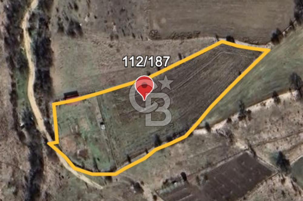 Safranın Toprağında Bir Parça Gelecek, Kırıklarda Satılık Tarla