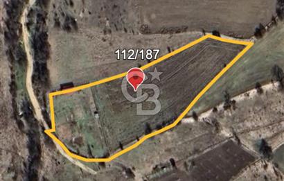 Safranın Toprağında Bir Parça Gelecek, Kırıklarda Satılık Tarla