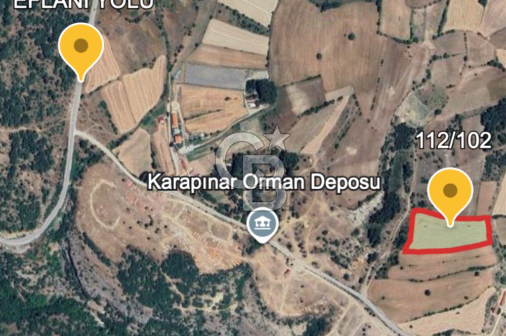 Safranın Toprağında Safranbolu Kırıklarda Satılık Tarla