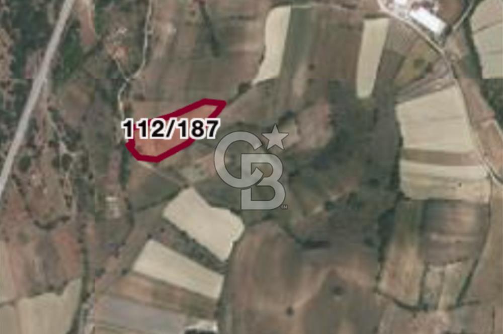 Safranın Toprağında Bir Parça Gelecek, Kırıklarda Satılık Tarla