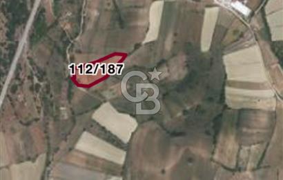 Safranın Toprağında Bir Parça Gelecek, Kırıklarda Satılık Tarla