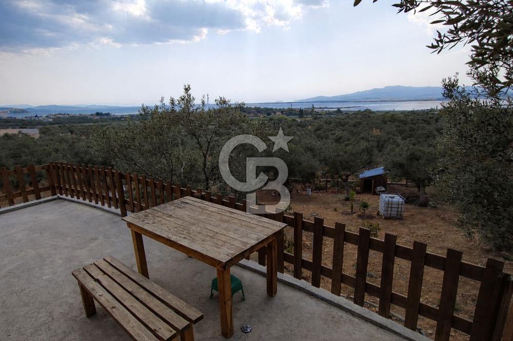 ŞAKRAN'DA DENİZE 800 M, MANZARALI, MÜSTAKİL TAPULU ZEYTİNLİK