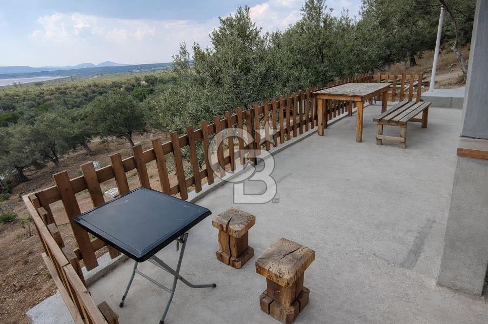 ŞAKRAN'DA DENİZE 800 M, MANZARALI, MÜSTAKİL TAPULU ZEYTİNLİK