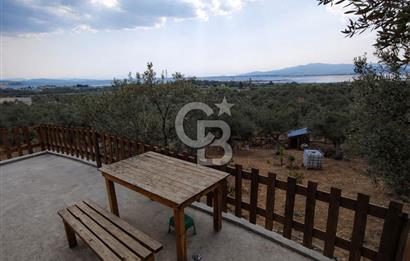 ŞAKRAN'DA DENİZE 800 M, MANZARALI, MÜSTAKİL TAPULU ZEYTİNLİK