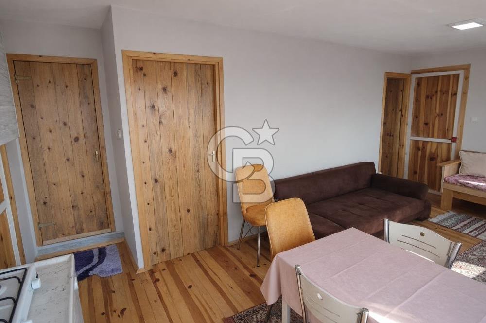 ŞAKRAN'DA DENİZE 800 M, MANZARALI, MÜSTAKİL TAPULU ZEYTİNLİK