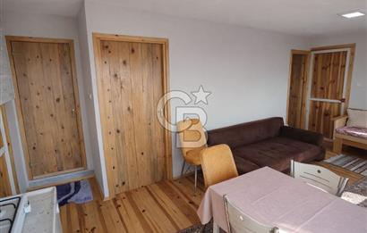 ŞAKRAN'DA DENİZE 800 M, MANZARALI, MÜSTAKİL TAPULU ZEYTİNLİK