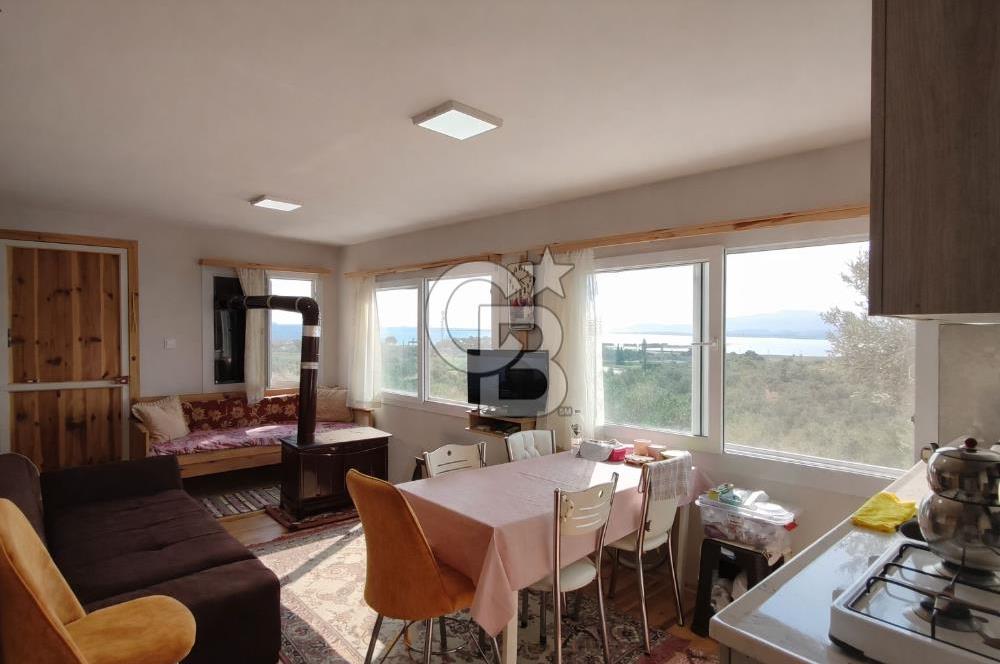 ŞAKRAN'DA DENİZE 800 M, MANZARALI, MÜSTAKİL TAPULU ZEYTİNLİK