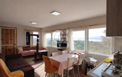 ŞAKRAN'DA DENİZE 800 M, MANZARALI, MÜSTAKİL TAPULU ZEYTİNLİK