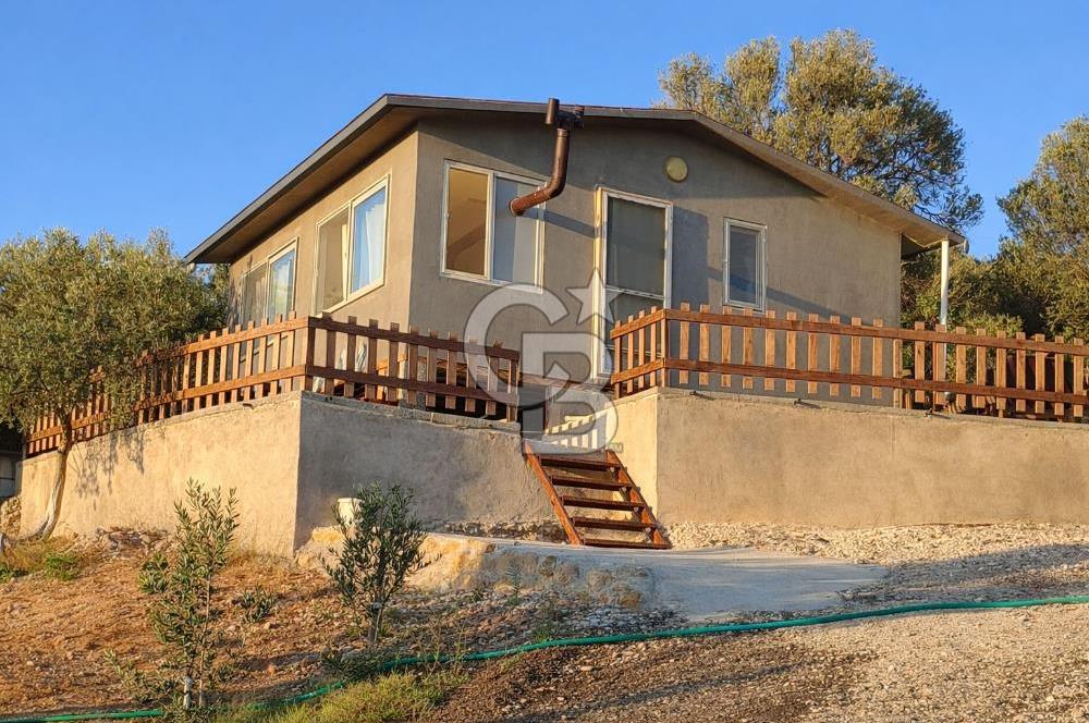 ŞAKRAN'DA DENİZE 800 M, MANZARALI, MÜSTAKİL TAPULU ZEYTİNLİK