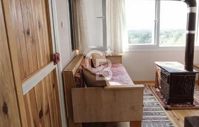 ŞAKRAN'DA DENİZE 800 M, MANZARALI, MÜSTAKİL TAPULU ZEYTİNLİK