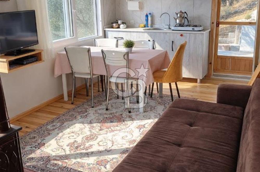 ŞAKRAN'DA DENİZE 800 M, MANZARALI, MÜSTAKİL TAPULU ZEYTİNLİK