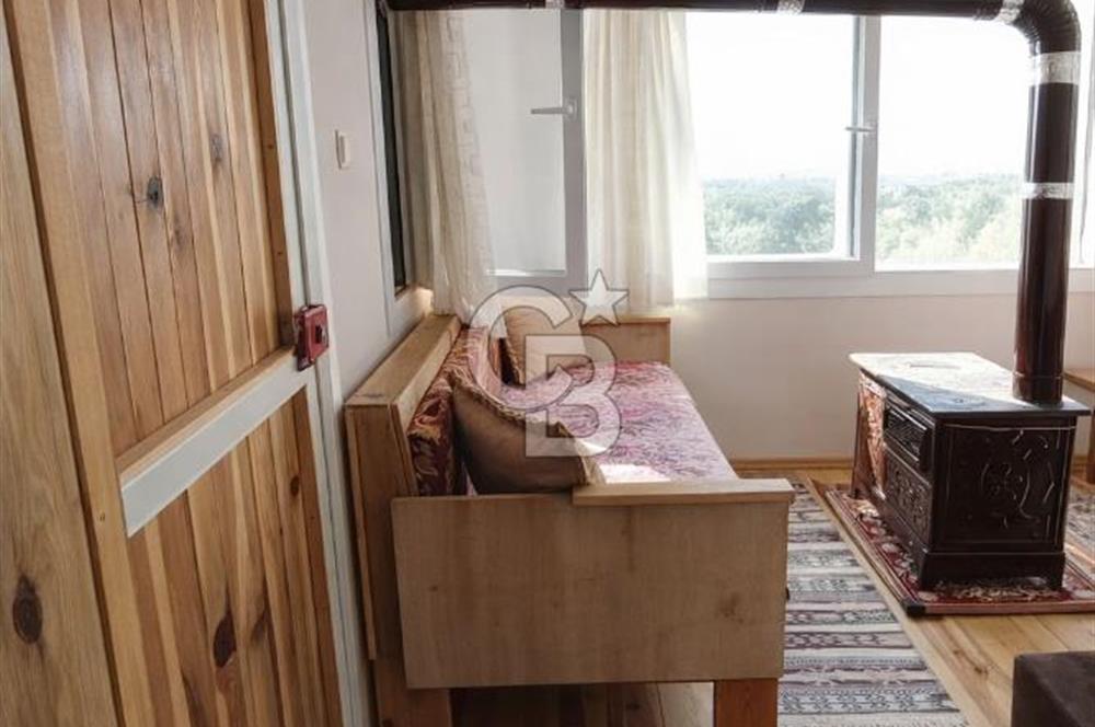 ŞAKRAN'DA DENİZE 800 M, MANZARALI, MÜSTAKİL TAPULU ZEYTİNLİK