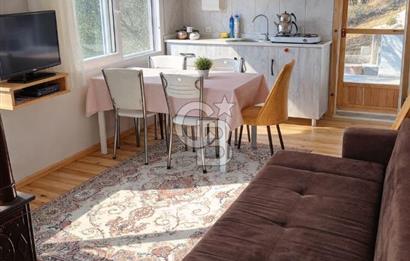 ŞAKRAN'DA DENİZE 800 M, MANZARALI, MÜSTAKİL TAPULU ZEYTİNLİK