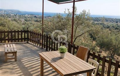 ŞAKRAN'DA DENİZE 800 M, MANZARALI, MÜSTAKİL TAPULU ZEYTİNLİK