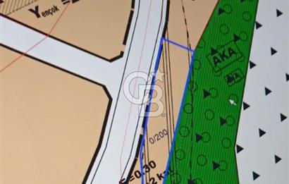 Şile Çayırbaşında Villa İmarlı Satılık Arsa