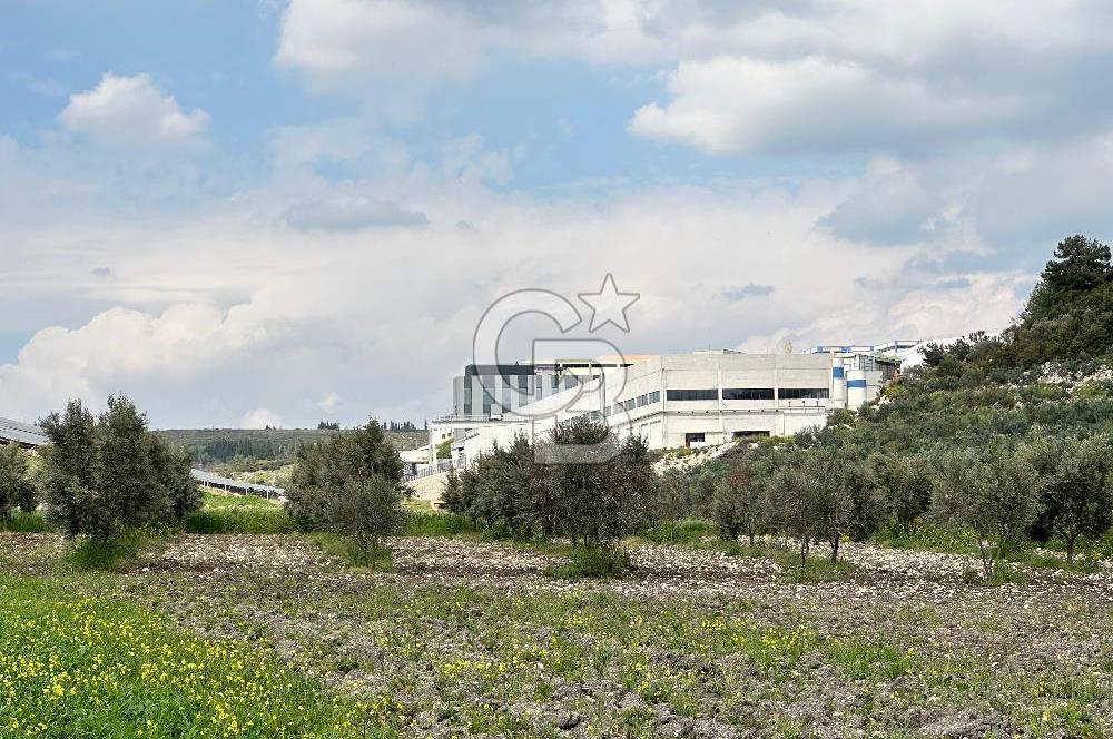 MENDERES TEKELİ İ.T.O.B OSB YANI YATIRIMLIK 500 M2 SATILIK ARAZİ