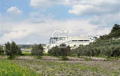 MENDERES TEKELİ İ.T.O.B OSB YANI YATIRIMLIK 500 M2 SATILIK ARAZİ