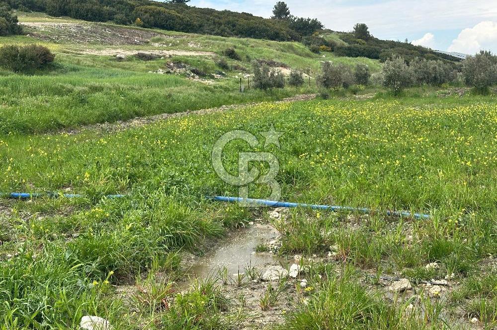 MENDERES TEKELİ İ.T.O.B OSB YANI YATIRIMLIK 500 M2 SATILIK ARAZİ